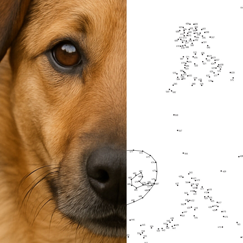 Indywidualny projekt dot to dot, minimum 1000 kropek
